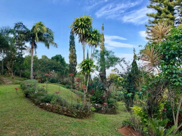 Área em Garopaba para Condomínio ou Loteamento no Bairro Village