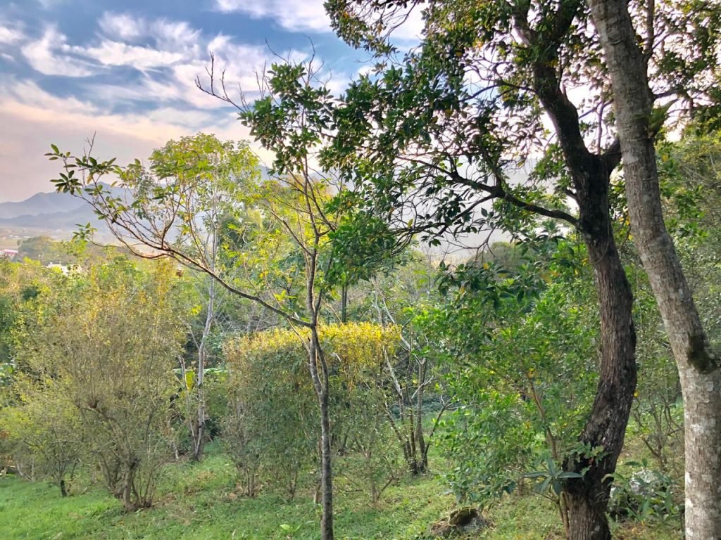 Área em Garopaba para Condomínio ou Loteamento no Bairro Village Área em Garopaba para Condomínio ou Loteamento no Bairro Village