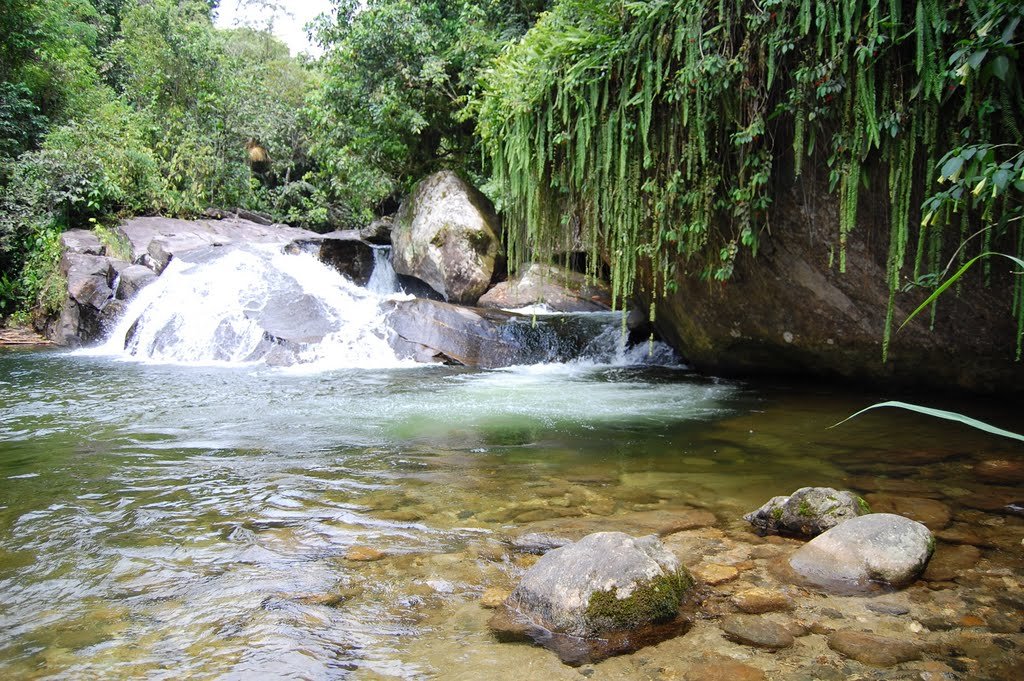 Macacu, Garopaba, SC! Macacu, Garopaba, SC!