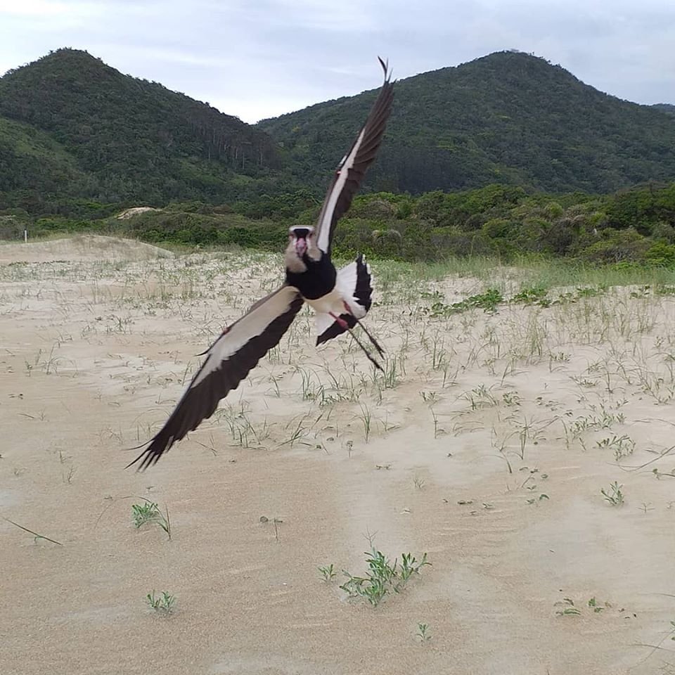 Casa com vista para a Praia do Siriú, Garopaba! (162,37m²)