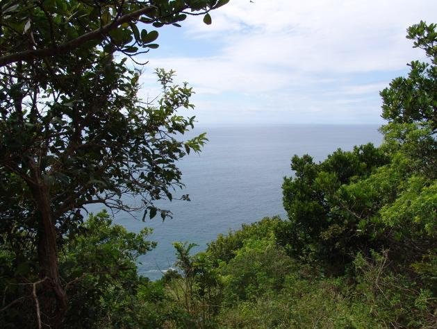 Terreno com vista mar em Garopaba SC 3000m²