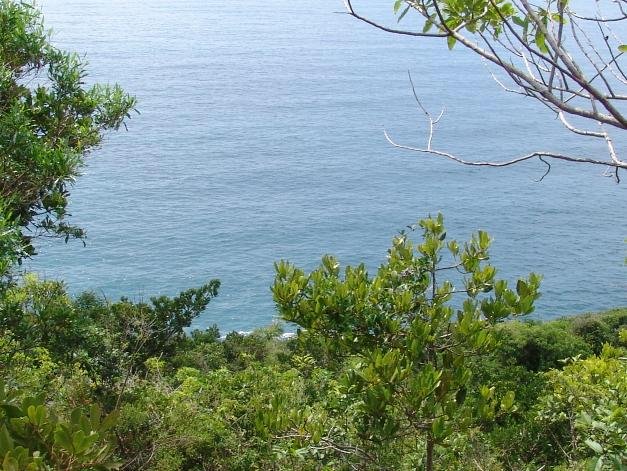 Terreno com vista mar em Garopaba SC 3000m²