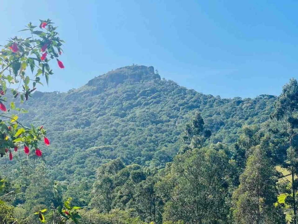 Terrenos á venda no Litoral Catarinense